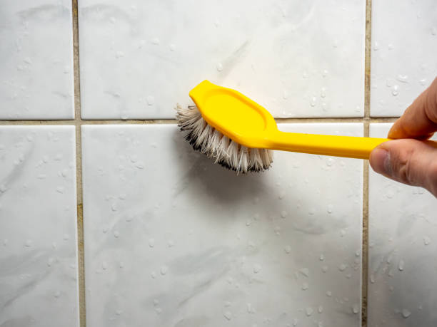 Best Local Mold Removal Service  in Myerstown, PA