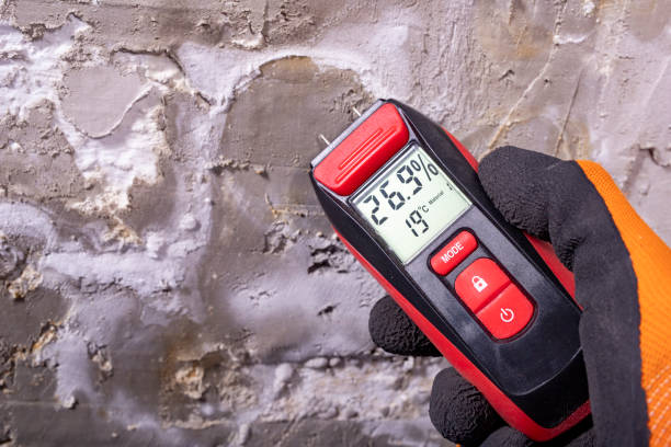 Best Certified Mold Removal  in Myerstown, PA