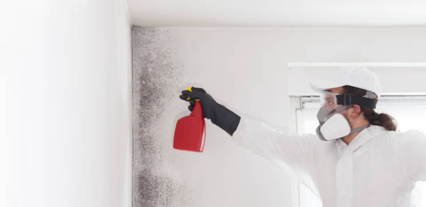 Crawl Space Mold Removal in Myerstown, PA